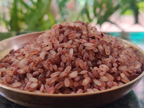 Red Rice