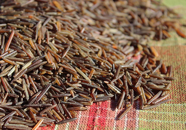 Wild Rice